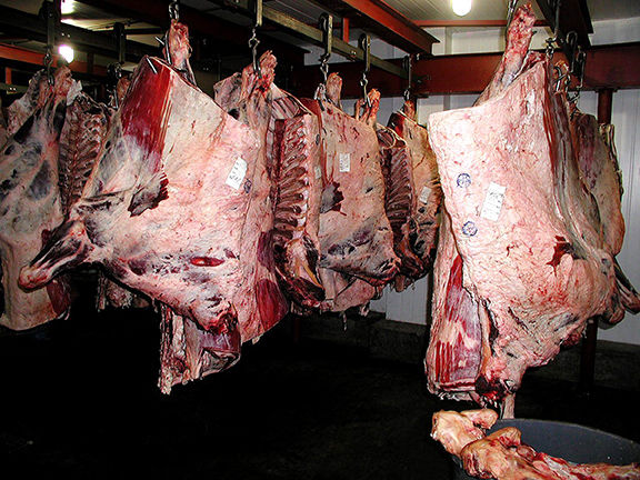 Beef Carcass